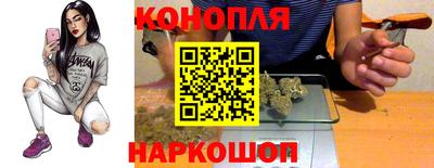 mdpv Заводоуковск