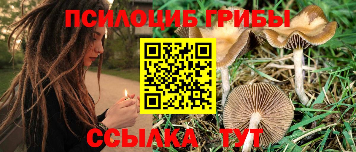 Галлюциногенные грибы Magic Shrooms Минеральные Воды