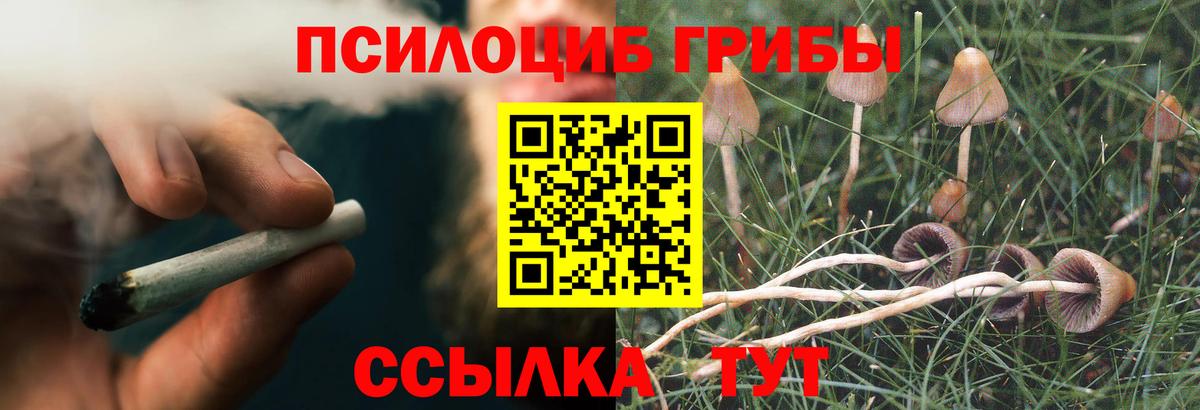 Галлюциногенные грибы прущие грибы  Вход с VPN  как найти закладки  Минеральные Воды  Галлюциногенные грибы Magic Shrooms 